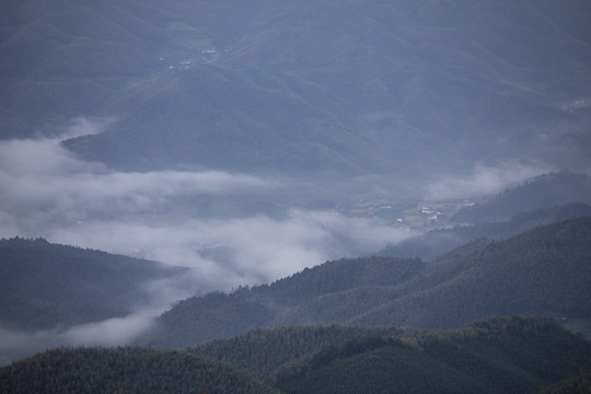 崇义上堡万长山茶园云海