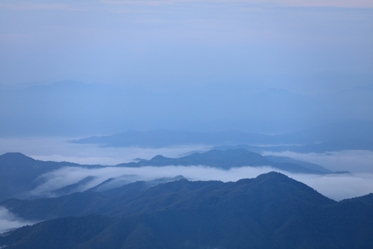 崇义上堡万长山茶园云海