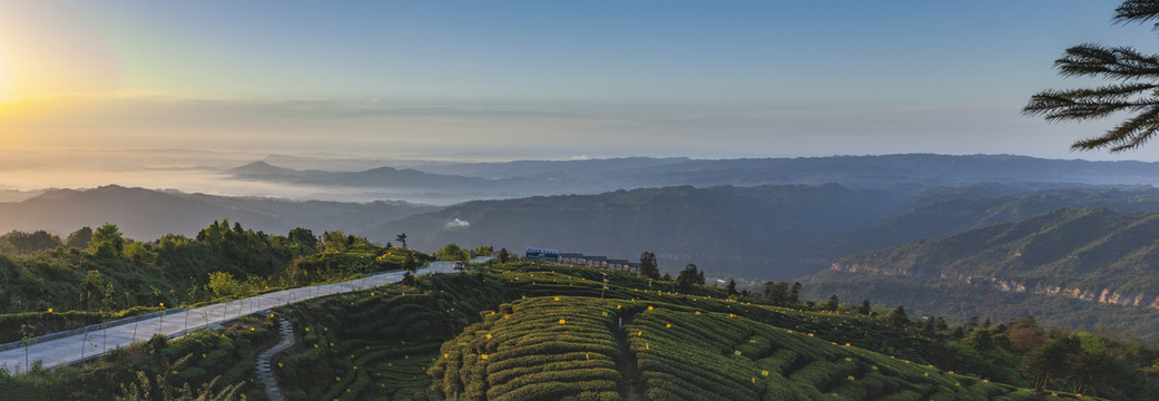 茶山日出山脉薄雾缭绕全景图