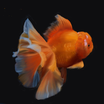 金魚手繪