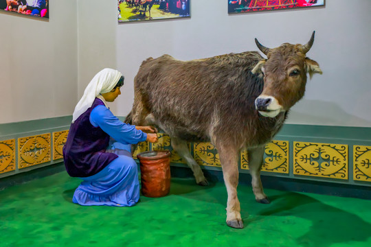 新疆维吾尔族自治区博物馆