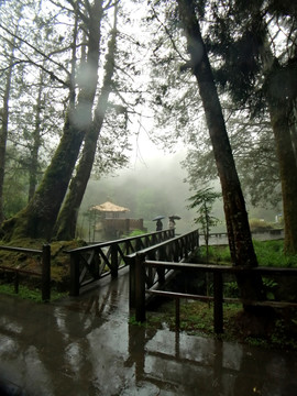 雨中风景