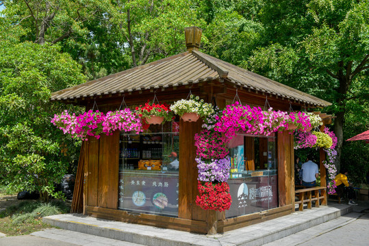 鲜花木屋