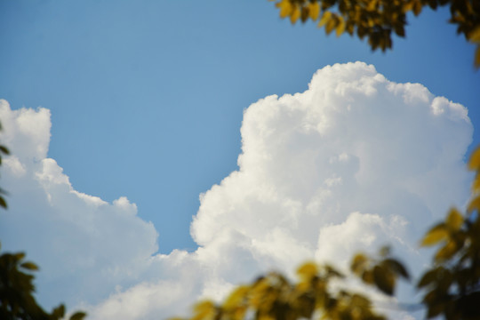 仰望天空美景