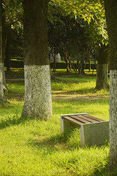 小清新休息场景