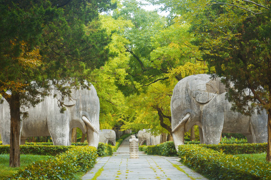 明孝陵石象路美景