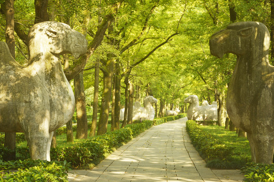 石象路林荫古道