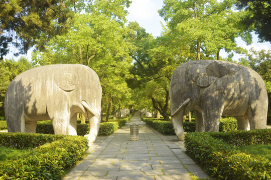 石象路美景