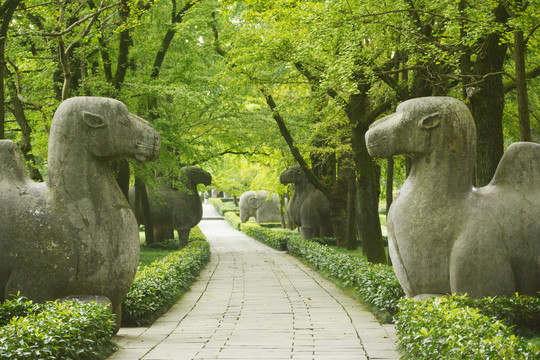 明孝陵石象路