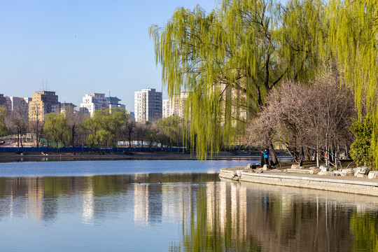 北京玉渊潭公园