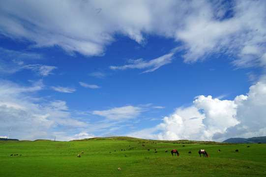 乌蒙大草原