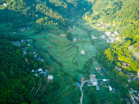 寻阳村