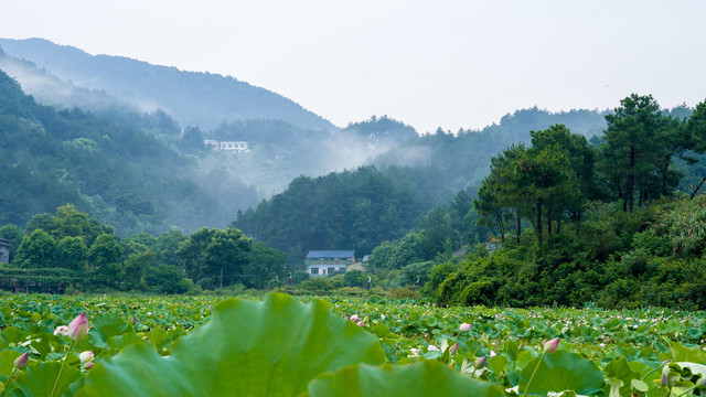 山里人家