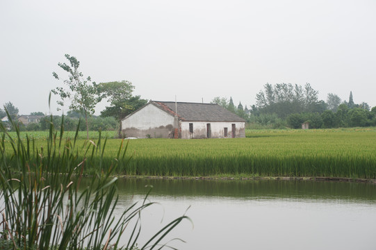 田野农舍