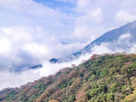 梵净山风光