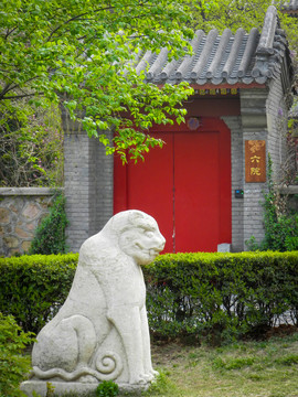 北京大学静园六院门前石虎