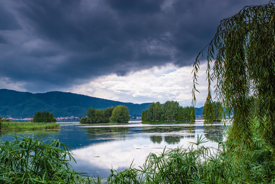 昆明滇池湿地