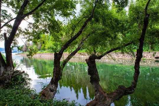 昆明滇池湿地