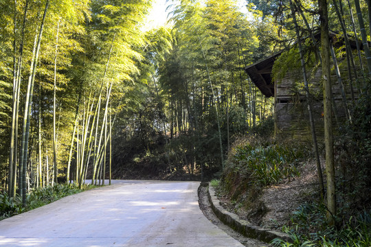 乡村道路