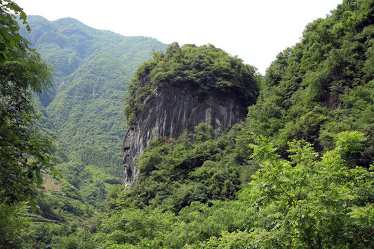 桃源大山八