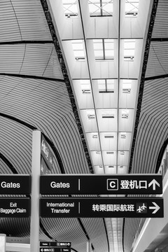 北京大兴机场旅客大厅