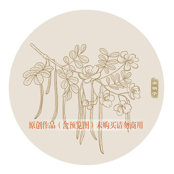 線描決明子