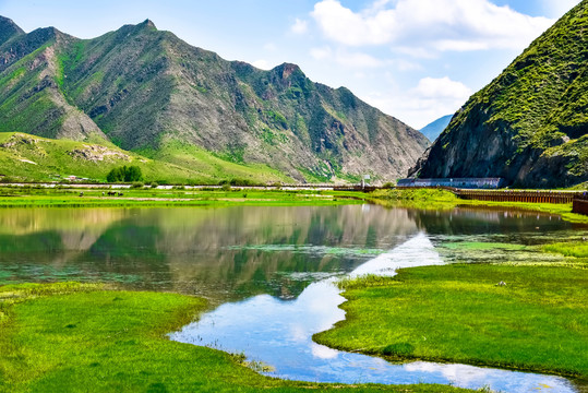 高原湿地