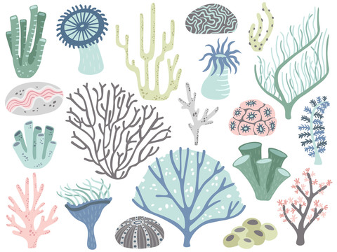 立体海草珊瑚海洋生物清新插图