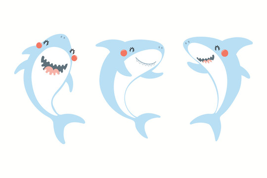 三只可爱的鲨鱼