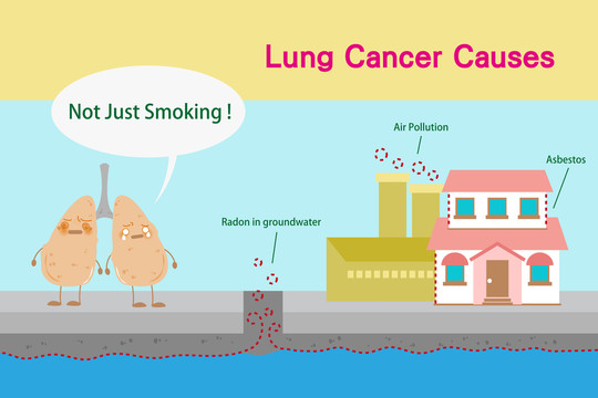 有害物质导致肺癌卡通插图