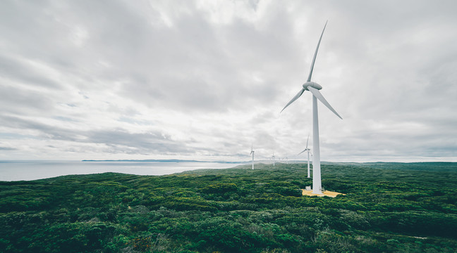 绿丛沿海风力发电再生能源航拍照片