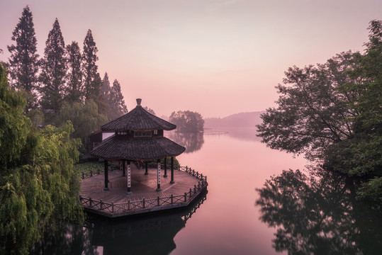 杭州西湖黛色参天