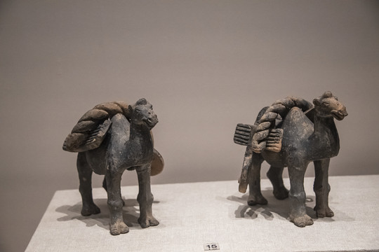 中国陕西历史博物馆载阮骆驼