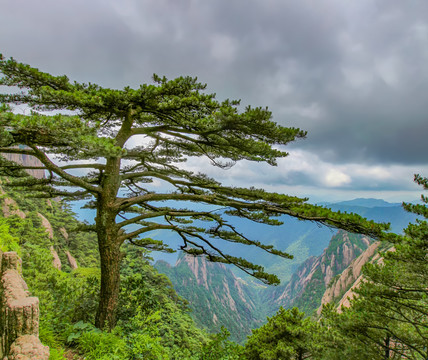 黃山