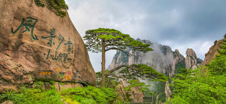 黃山迎客松