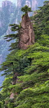 黄山梦笔生花