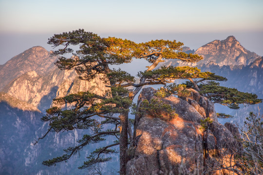 黄山狮子峰