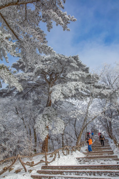 黄山