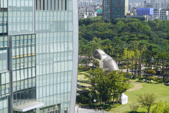 首尔乐天世界广场小猫雕塑