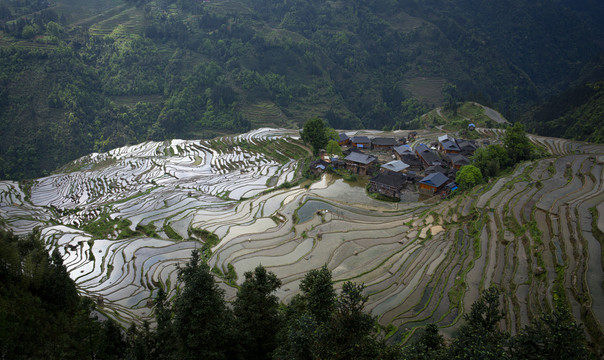 加榜梯田