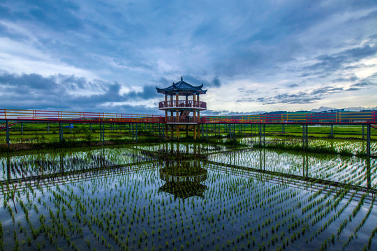 观景台稻田