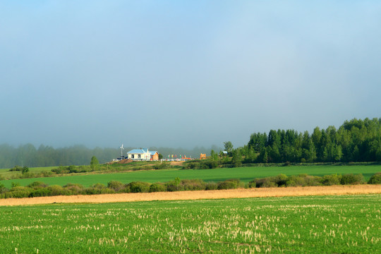 绿色原野山林云雾风景