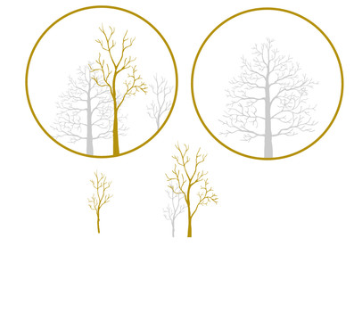 陶瓷花紙?jiān)O(shè)計(jì)