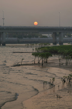 海边日落