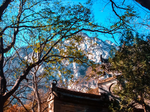 林中寺院