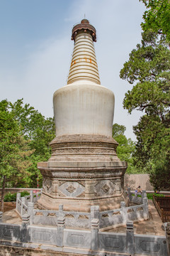 大觉寺白塔