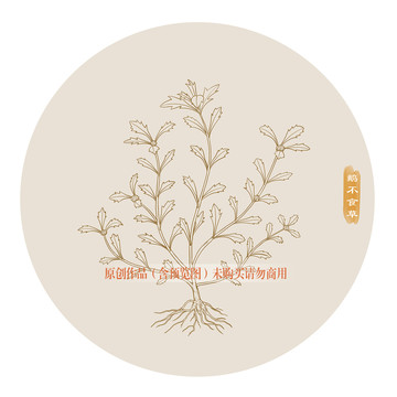 線描鵝不食草
