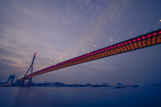 杨浦大桥夜景