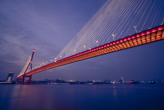 杨浦大桥夜景