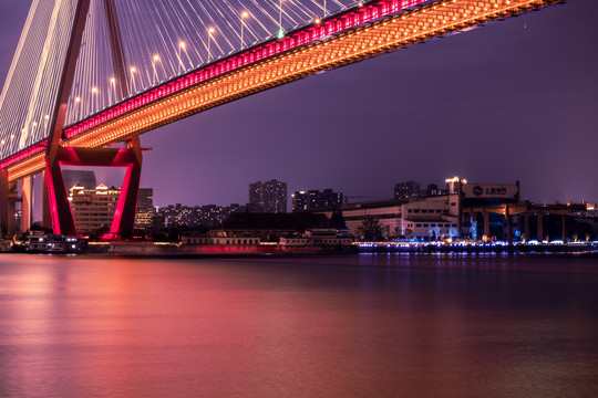 杨浦大桥夜景